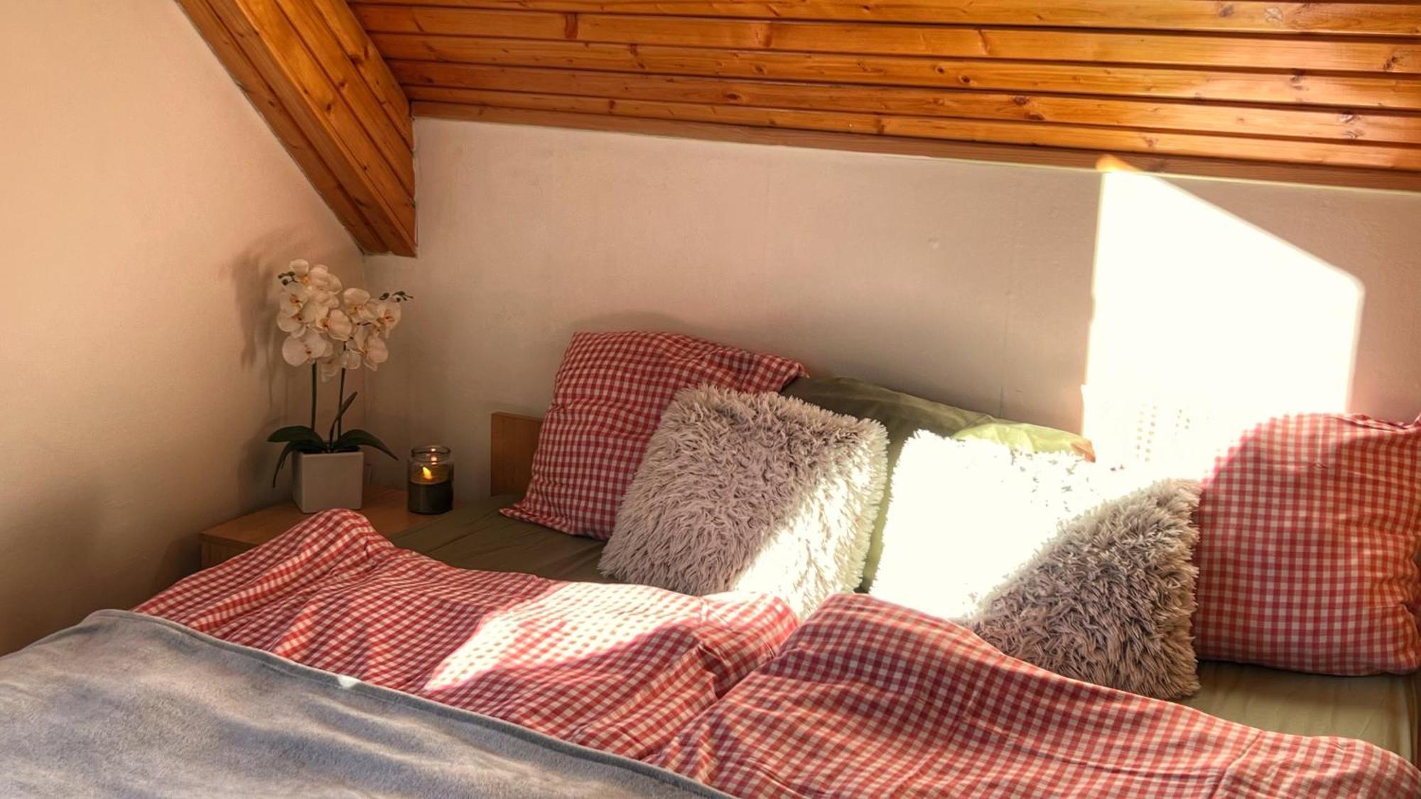 Apartmany Chata Samoty Železná Ruda Exteriér fotografie